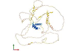 AlphaFold protein structure predicition of Human Recombinant IRX3 Protein, UniprotID P78415