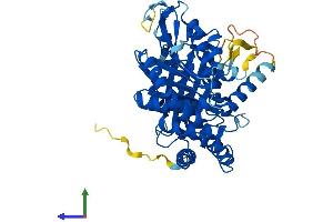 AlphaFold protein structure predicition of Human Recombinant TUBE1 Protein, UniprotID Q9UJT0