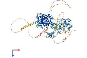 AlphaFold protein structure predicition of Mouse Recombinant Kdm4b Protein, UniprotID Q91VY5
