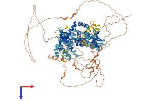 AlphaFold protein structure predicition of Mouse Recombinant Rin2 Protein, UniprotID Q9D684