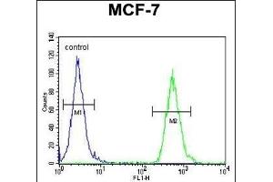 TTL Antibody (C-term) (ABIN651357 and ABIN2840199) flow cytometric analysis of MCF-7 cells (right histogram) comred to a negative control cell (left histogram). (TTPAL anticorps  (C-Term))