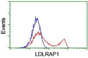 Flow Cytometry (FACS) image for anti-Low Density Lipoprotein Receptor Adaptor Protein 1 (LDLRAP1) antibody (ABIN1496686) (LDLRAP1 anticorps)