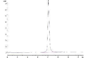 The purity of Mouse GM-CSF R alpha is greater than 95 % as determined by SEC-HPLC.