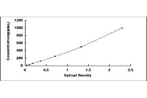 Typical standard curve (Kallikrein 13 Kit ELISA)