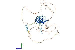 AlphaFold protein structure predicition of Mouse Recombinant Coil Protein, UniprotID Q5SU73