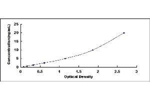 Typical standard curve (OB Cadherin Kit ELISA)