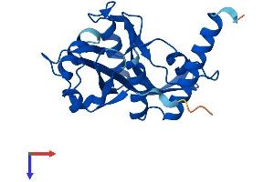 AlphaFold protein structure predicition of Mouse Recombinant Nudt16l1 Protein, UniprotID Q8VHN8