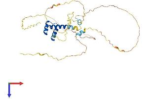 AlphaFold protein structure predicition of Human Recombinant DBX1 Protein, UniprotID A6NMT0