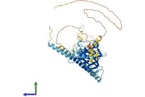 AlphaFold protein structure predicition of Human Recombinant PPAN Protein, UniprotID Q9NQ55