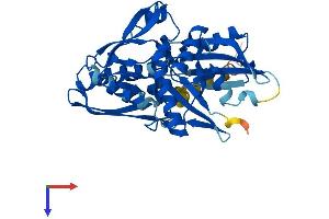 Heat Shock 70kDa Protein 7 (HSP70B) (HSPA7) (AA 1-367) protein (His tag)