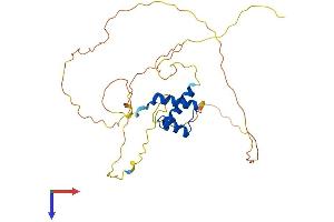 AlphaFold protein structure predicition of Human Recombinant GSX2 Protein, UniprotID Q9BZM3
