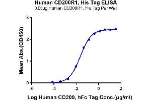 Immobilized Human CD200 R1,His Tag at 0.