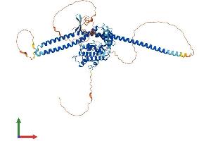 AlphaFold protein structure predicition of Mouse Recombinant Tlk2 Protein, UniprotID O55047