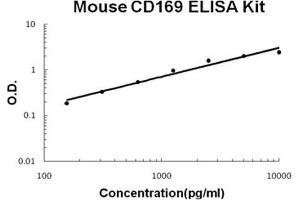 Mouse CD169/SIGLEC-1 PicoKine ELISA Kit standard curve (Sialoadhesin/CD169 Kit ELISA)