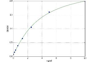Matrix Metallopeptidase 24 (Membrane-inserted) (MMP24) ELISA Kit