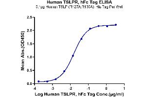Immobilized Human TSLP (R127A, R130A) at 1 μg/mL (100 μL/Well).