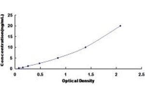 Typical standard curve (UGGT1 Kit ELISA)