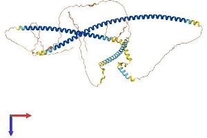 AlphaFold protein structure predicition of Human Recombinant IFFO1 Protein, UniprotID Q0D2I5