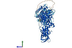 AlphaFold protein structure predicition of Human Recombinant TOP3B Protein, UniprotID O95985