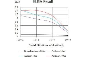Black line: Control Antigen (100 ng),Purple line: Antigen (10 ng), Blue line: Antigen (50 ng), Red line:Antigen (100 ng) (JAG1 anticorps  (AA 47-212))