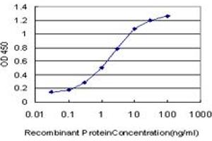 Detection limit for recombinant GST tagged TFAP4 is approximately 0.