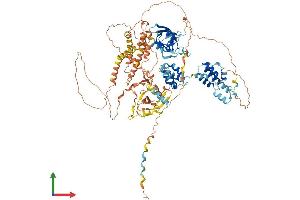 AlphaFold protein structure predicition of Mouse Recombinant Peg10 Protein, UniprotID Q7TN75