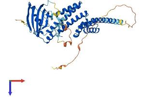 AlphaFold protein structure predicition of Human Recombinant AIPL1 Protein, UniprotID Q9NZN9