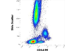Flow cytometry surface staining pattern of human peripheral whole blood stained using anti-human CD1d (51. (CD1d anticorps  (PE))