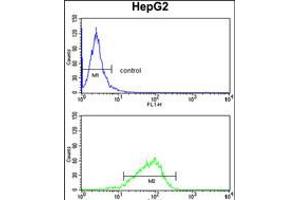 Flow cytometry analysis of HepG2 cells (bottom histogram) compared to a negative control cell (top histogram).