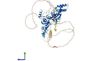 AlphaFold protein structure predicition of Mouse Recombinant Rmi1 Protein, UniprotID Q9D4G9