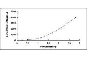 ELISA image for Corticotropin Releasing Hormone Binding Protein (CRHBP) ELISA Kit (ABIN418102)