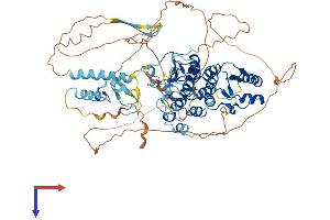 AlphaFold protein structure predicition of Mouse Recombinant Bard1 Protein, UniprotID O70445