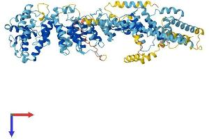 AlphaFold protein structure predicition of Human Recombinant NUP93 Protein, UniprotID Q8N1F7