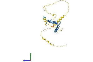 AlphaFold protein structure predicition of Human Recombinant ASCL1 Protein, UniprotID P50553