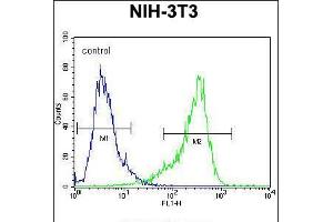 Flow cytometric analysis of NIH-3T3 cells (right histogram) compared to a negative control cell (left histogram). (CYP26A1 anticorps  (C-Term))