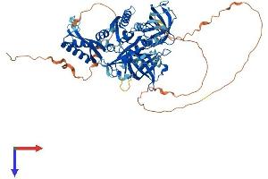 AlphaFold protein structure predicition of Human Recombinant GTPBP1 Protein, UniprotID O00178