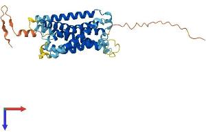 AlphaFold protein structure predicition of Mouse Recombinant Mrgprf Protein, UniprotID Q8VCJ6
