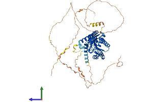 AlphaFold protein structure predicition of Mouse Recombinant Cacnb1 Protein, UniprotID Q8R3Z5