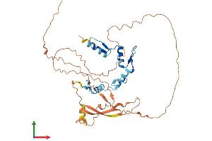 AlphaFold protein structure predicition of Human Recombinant YY2 Protein, UniprotID O15391