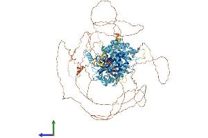 AlphaFold protein structure predicition of Human Recombinant MCM9 Protein, UniprotID Q9NXL9