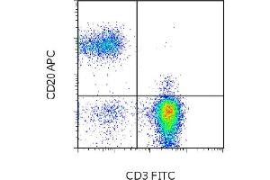 Flow Cytometry (FACS) image for anti-Membrane-Spanning 4-Domains, Subfamily A, Member 1 (MS4A1) antibody (APC) (ABIN2144232) (CD20 anticorps  (APC))