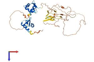AlphaFold protein structure predicition of Human Recombinant ZBP1 Protein, UniprotID Q9H171