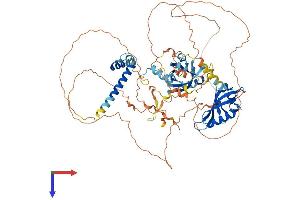 AlphaFold protein structure predicition of Human Recombinant ARNT2 Protein, UniprotID Q9HBZ2
