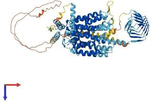 AlphaFold protein structure predicition of Human Recombinant SV2A Protein, UniprotID Q7L0J3