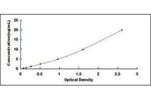 Fibronectin ELISA Kit