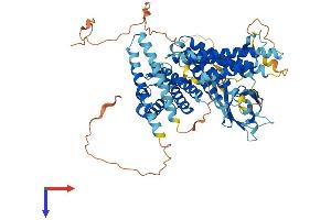 AlphaFold protein structure predicition of Mouse Recombinant Rhpn1 Protein, UniprotID Q61085