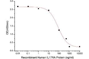 Activity Assay (AcA) image for Interleukin 17 Receptor A (IL17RA) (AA 33-320) (Active) protein (His-Fc tag) (ABIN7607681)