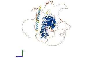 AlphaFold protein structure predicition of Mouse Recombinant Ctnnd1 Protein, UniprotID P30999