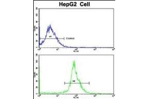 Flow cytometric analysis of HepG2 cells using LTA Antibody (Center)(bottom histogram) compared to a negative control cell (top histogram).