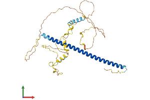AlphaFold protein structure predicition of Mouse Recombinant Jun Protein, UniprotID P05627